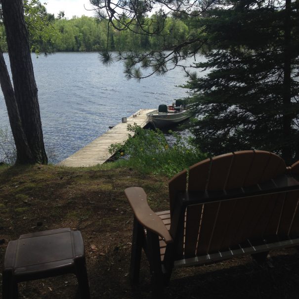 Lakeside chair looking toward the dock